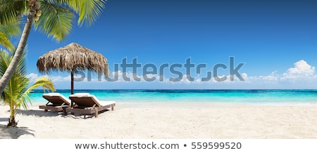 Foto stock: Tropical Beach In The Maldives
