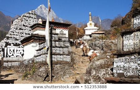 ストックフォト: Buddhist Prayer Stone With Written Mantra And Praying Flags