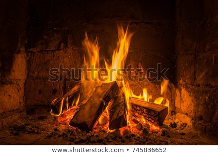 Stockfoto: Fire In Fireplace