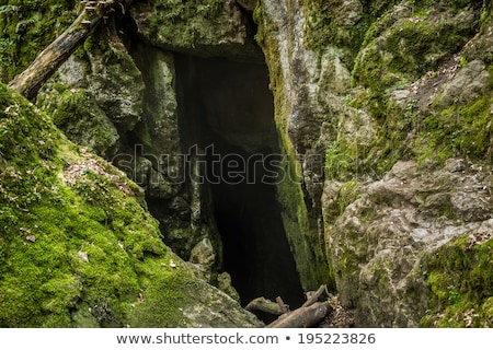 Foto d'archivio: Czech National Natural Heritage Rudice Basin