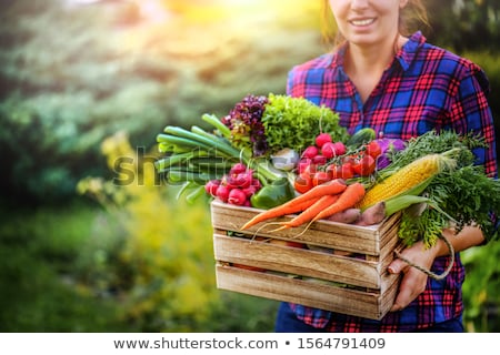 Zdjęcia stock: Woman Holding Basket Of Vegetables