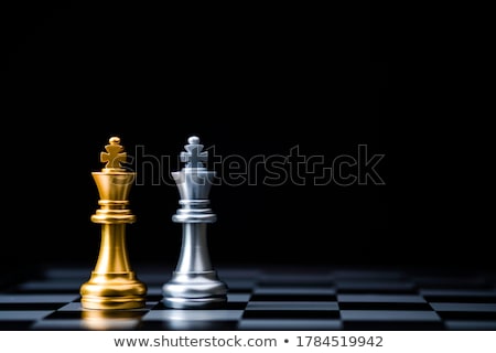 Foto d'archivio: King Chess Piece