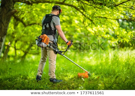 Сток-фото: Mowing The Grass