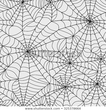 Stock foto: Spider Web Vector Ornamental Background