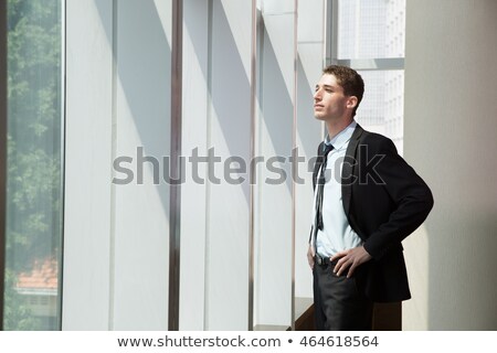 [[stock_photo]]: Businessman With Hands On Hip