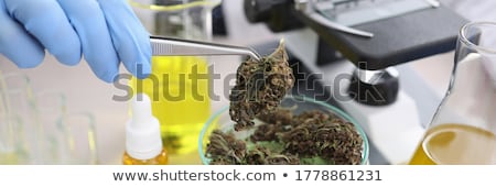 Stok fotoğraf: Medicinal Cannabis