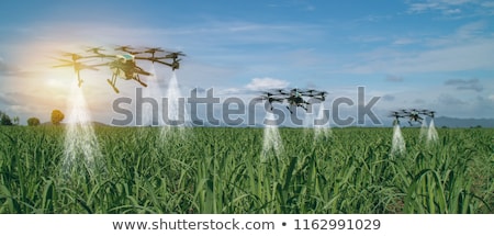 Stock photo: Smart Farming Concept Farmer Using Drone In Field
