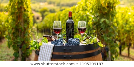 Stock photo: Pouring Red Wine Into The Glass Barrel Outdoor In Bordeaux Vineyard