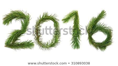 Foto stock: 1 Number Made Of Christmas Tree Branches