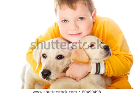 Stock fotó: Handsome Young Boy Playing With His Dog Against White Background