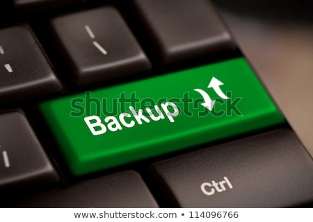 Сток-фото: Backup Computer Key