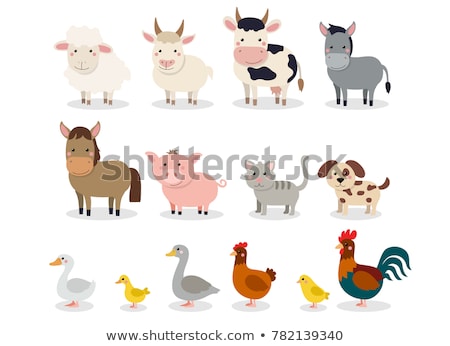 Stockfoto: Farm Animals