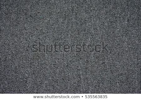 Stock foto: Grey Carpet