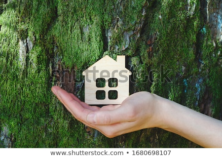 Stock fotó: Green House Symbol In Hand