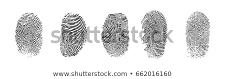 Zdjęcia stock: Vector Fingerprint