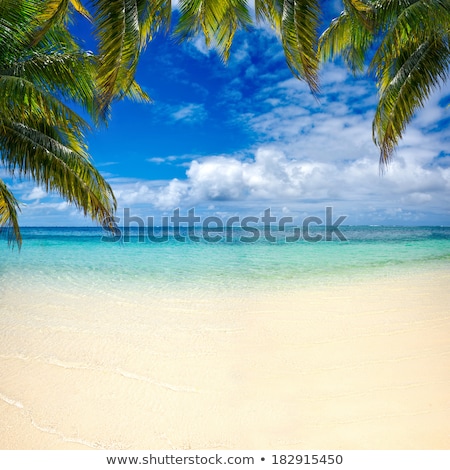 Stock fotó: Drawing Of Palm Tree On Sandy Beach