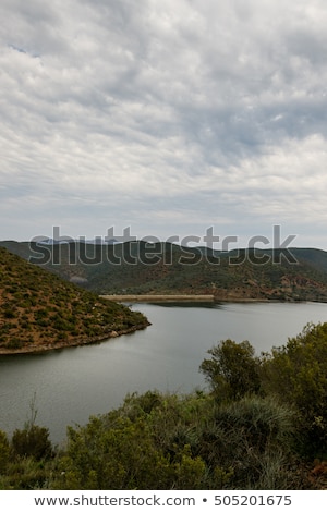 Bush View Of The Dam At Calitzdorp Foto d'archivio © markdescande