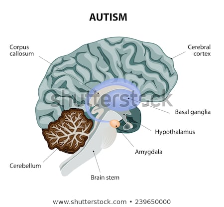 Stock photo: Theory Of Autism