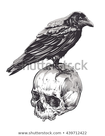Foto stock: Black Bird With Skull Crow Of Death Vector Illustration