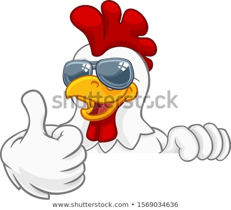 Foto stock: Chicken Rooster Cockerel Bird Sunglasses Cartoon