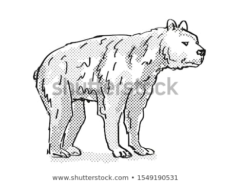 Stock fotó: Short Faced Bear Extinct North American Wildlife Cartoon Drawing