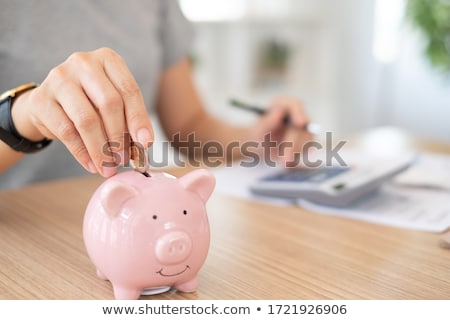 Stok fotoğraf: Human Hand Protecting Piggy Bank