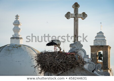 Stockfoto: Stork In Nest On Dome Of A Church