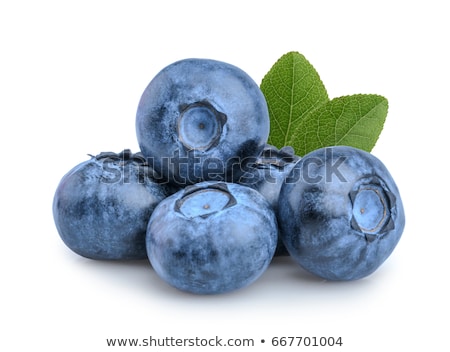 Stok fotoğraf: Blueberries