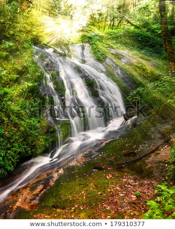 ストックフォト: Small Waterfall Hidden In Tropical Rain Forest Thailand