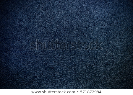 Сток-фото: Blue Leather Texture