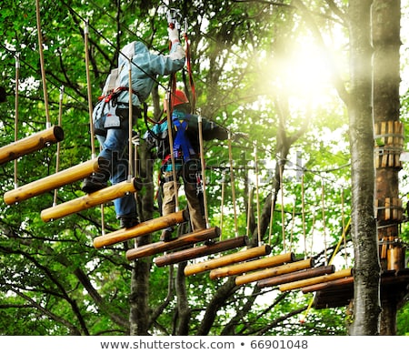 Zdjęcia stock: Adventure Climbing High Wire Park
