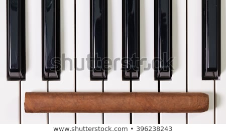 Stockfoto: Piano Keyboard And Luxury Cigar
