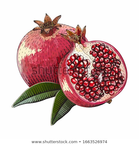 Foto stock: Pomegranates In Vintage Style