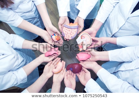 [[stock_photo]]: Organ Donor For Trasplant