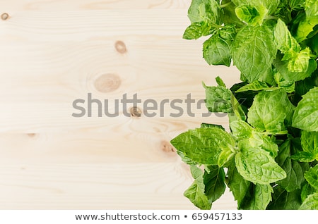 Stock photo: Lush Foliage Bunch Mint On Soft Beige Wooden Board With Copy Space Top View Closeup Summer Fresh