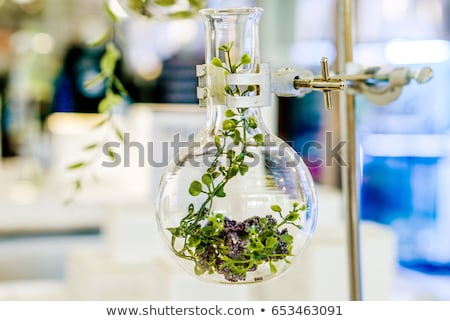 Stok fotoğraf: Chemistry Equipment Plants Laboratory Experimental