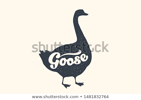 Foto stock: Goose Logo With Goose Silhouette Text Goose Butchery