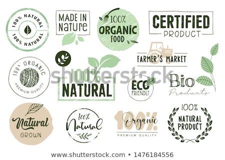 Stock fotó: Natural Product Vegan Food Sticker Set Vector