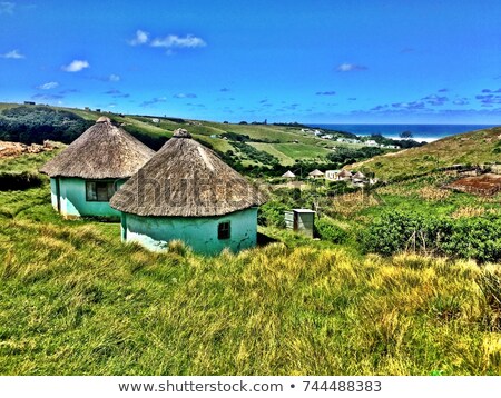 [[stock_photo]]: Wild Coast