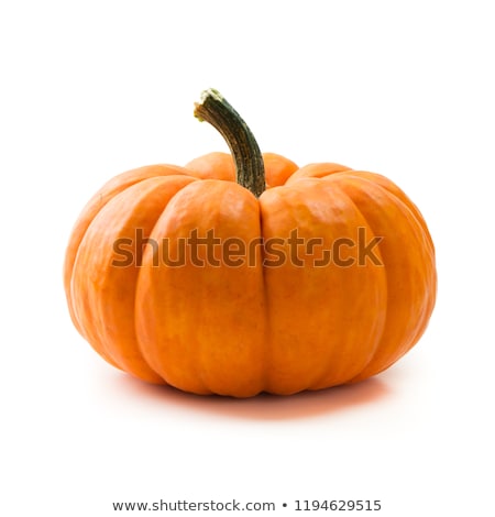 Mini Pumpkins Isolated On A White Background Imagine de stoc © Kenishirotie