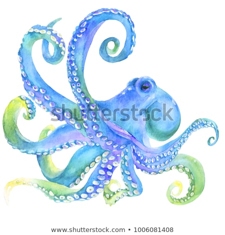 Stock photo: Pink Squid Illustration