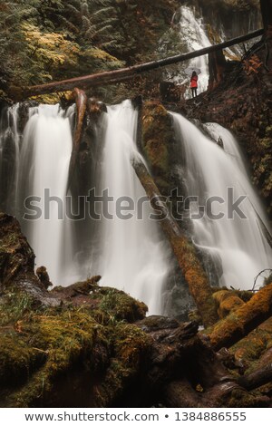 Zdjęcia stock: Panther Creek Falls In Fall Season