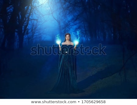 Stock photo: Young Woman Face With Long Dark Hair