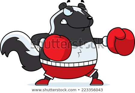 Zdjęcia stock: Cartoon Skunk Boxing