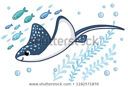 Stockfoto: Stingray Sails Among The Fish On A White Background Vector Illustration On A Sea Theme In A Cartoon