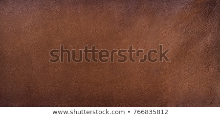 Zdjęcia stock: Leather Texture