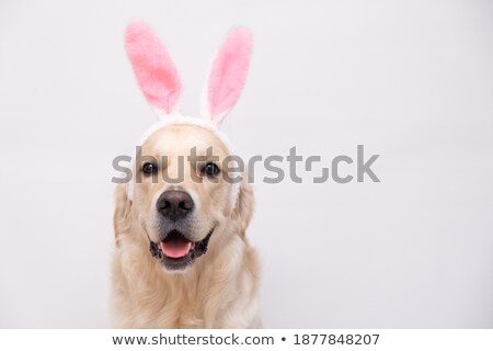 Foto d'archivio: Happy Easter Festival Background In Golden Theme