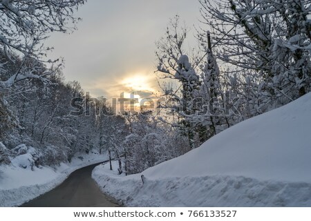 Сток-фото: Winter Sun Among Trees Piedmont Italy