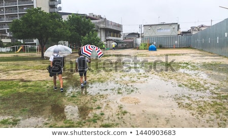 Foto stock: Learning Concetp With Tree