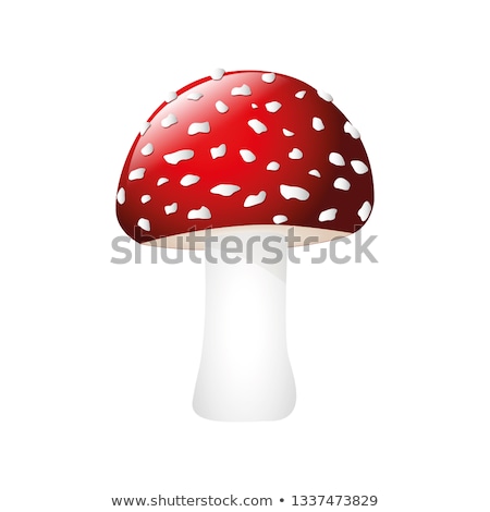 Stockfoto: Closeup Shot Of Amanita Muscaria Poisonous Mushroom